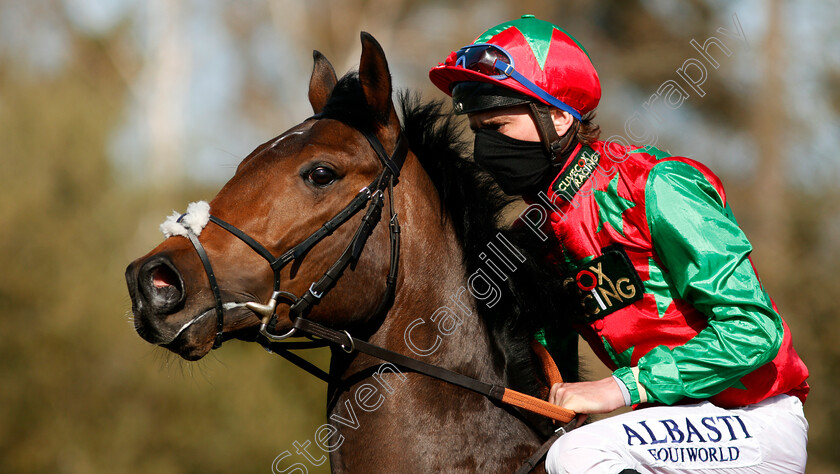 Diligent-Harry-0003 
 DILIGENT HARRY (Adam Kirby) after The Ladbrokes 3 Year Old All-Weather Championships Conditions Stakes
Lingfield 2 Apr 2021 - Pic Steven Cargill / Racingfotos.com