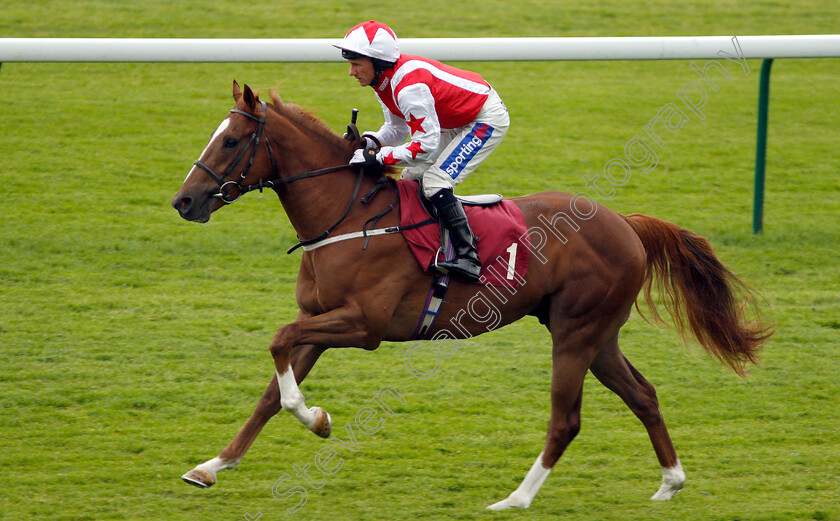 Absolute-Dream-0001 
 ABSOLUTE DREAM (Paul Hanagan)
Haydock 25 May 2018 - Pic Steven Cargill / Racingfotos.com