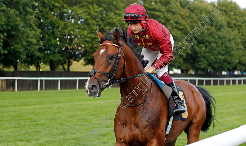 Middle-Earth-0005 
 MIDDLE EARTH (Cieren Fallon) winner of The British Stallion Studs EBF Novice Stakes
Newmarket 28 Jul 2023 - Pic Steven Cargill / Racingfotos.com