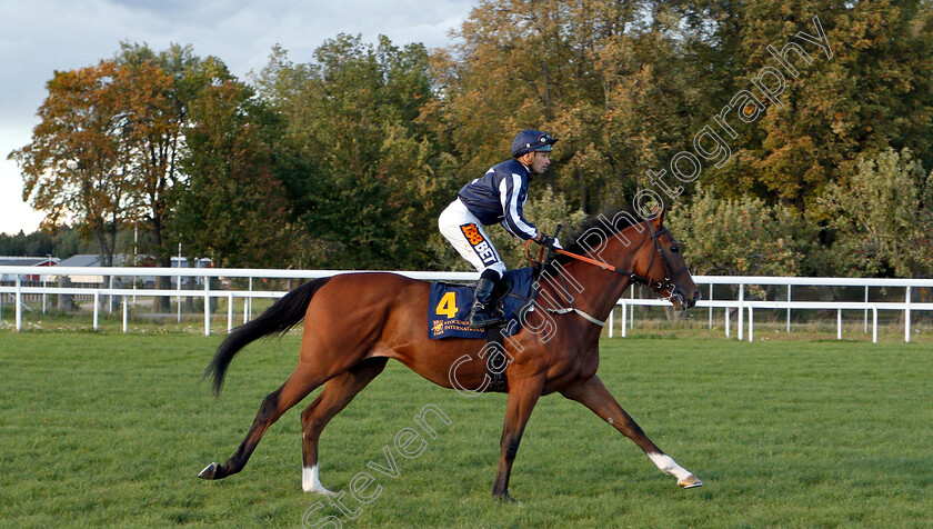 Crowned-Eagle-0001 
 CROWNED EAGLE (Silvestre De Sousa)
Bro Park, Sweden 23 Sep 2018 - Pic Steven Cargill / Racingfotos.com