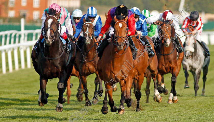 Daphne-0004 
 DAPHNE (centre, Ryan Moore) beats WEEKENDER (left) in The Dubai Duty Free Finest Surprise Handicap Newbury 23 Sep 2017 - Pic Steven Cargill / Racingfotos.com