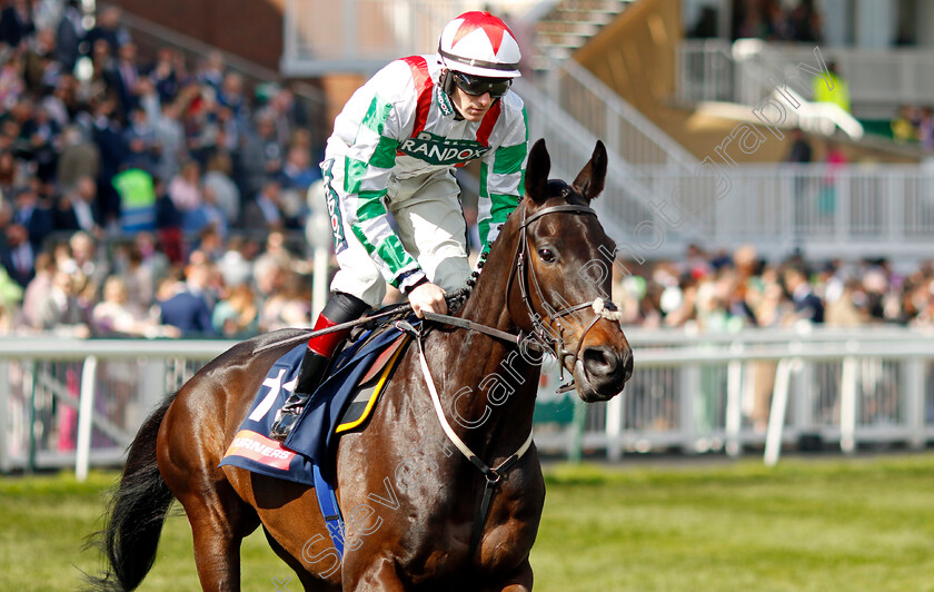 Uncle-Bert-0001 
 UNCLE BERT (Sam Twiston-Davies)
Aintree 15 Apr 2023 - Pic Steven Cargill / Racingfotos.com