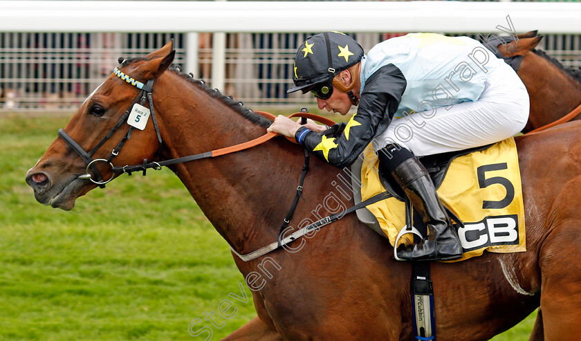 Lion-Tower-0005 
 LION TOWER (Sam James) wins The JCB Handicap
York 11 Jun 2022 - Pic Steven Cargill / Racingfotos.com