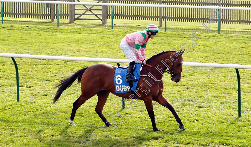 True-Mason-0001 
 TRUE MASON (Ben Curtis)
Newmarket 12 Oct 2018 - Pic Steven Cargill / Racingfotos.com