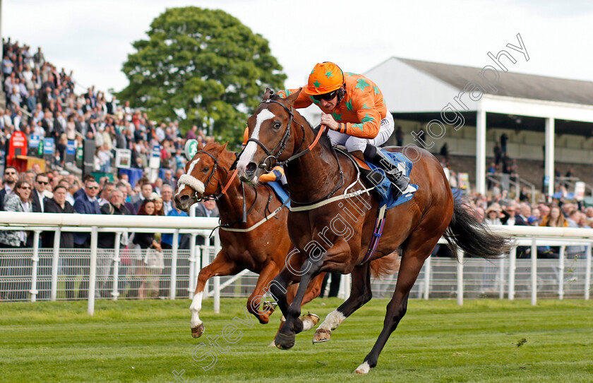 I-Am-A-Dreamer-0003 
 I AM A DREAMER (P J McDonald) wins The Stratford Place Stud Breeds Group Winners Ebfstallions.com Maiden Stakes York 17 May 2018 - Pic Steven Cargill / Racingfotos.com