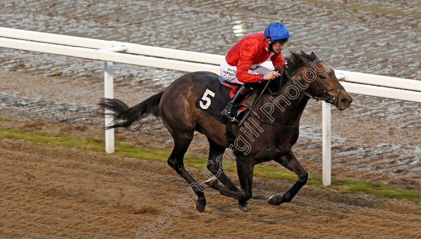 Fundamental-0005 
 FUNDAMENTAL (Robert Havlin) wins The racingwelfare.co.uk EBF Novice Stakes
Chelmsford 15 Oct 2020 - Pic Steven Cargill / Racingfotos.com