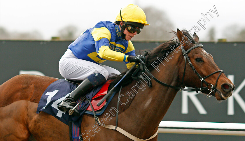 Shyron-0003 
 SHYRON (Jane Elliott) wins The Play Starburst Slot At sunbets.co.uk/vegas Handicap Lingfield 13 Dec 2017 - Pic Steven Cargill / Racingfotos.com