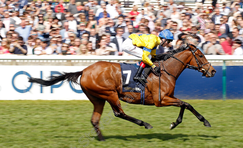 Stay-Alert-0001 
 STAY ALERT (David Egan) wins The William Hill Dahlia Stakes
Newmarket 5 May 2024 - Pic Steven Cargill / Racingfotos.com