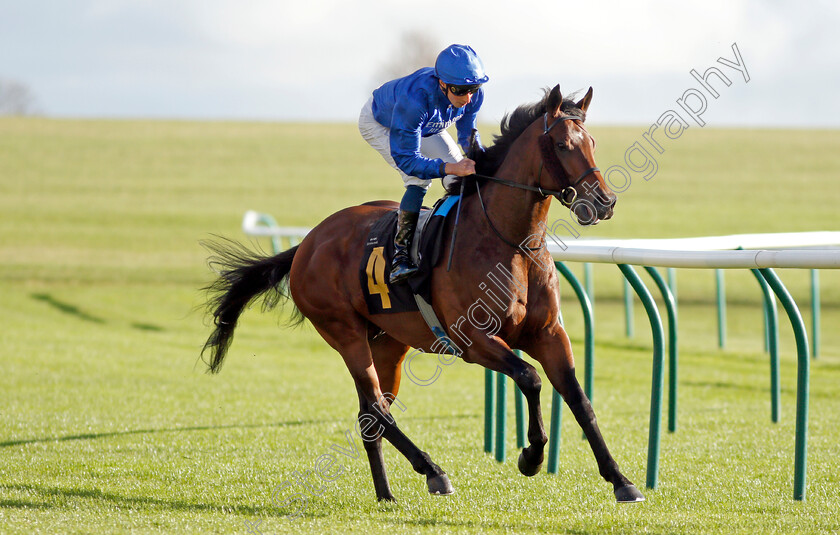 Noble-Dynasty-0001 
 NOBLE DYNASTY (William Buick)
Newmarket 30 Oct 2021 - Pic Steven Cargill / Racingfotos.com