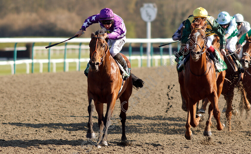 Oh-This-Is-Us-0004 
 OH THIS IS US (Tom Marquand) beats INDYCO (right) in The Sun Racing All-Weather Mile Championships Stakes
Lingfield 19 Apr 2019 - Pic Steven Cargill / Racingfotos.com