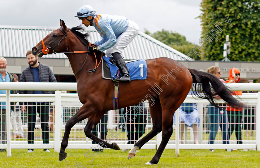 An-Outlaw s-Grace-0006 
 AN OUTLAW'S GRACE (Sean Levey) winner of The Byerley Stud Peter & Virginia Walwyn Memorial British EBF Novice Stakes
Salisbury 16 Jun 2024 - pic Steven Cargill / Racingfotos.com