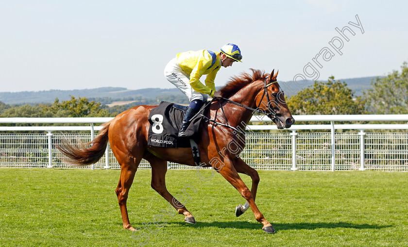 Chicago-Critic-0001 
 CHICAGO CRITIC (Ben Coen)
Goodwood 30 Jul 2024 - Pic Steven Cargill / Racingfotos.com