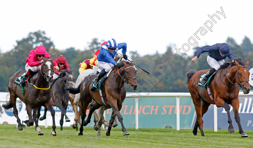 Adelaide-River-0001 
 ADELAIDE RIVER (right, Ryan Moore) beats AL AASY (centre) and LAYFAYETTE (left) in The Paddy Power Stakes
Leopardstown 9 Sep 2023 - Pic Steven Cargill / Racingfotos.com