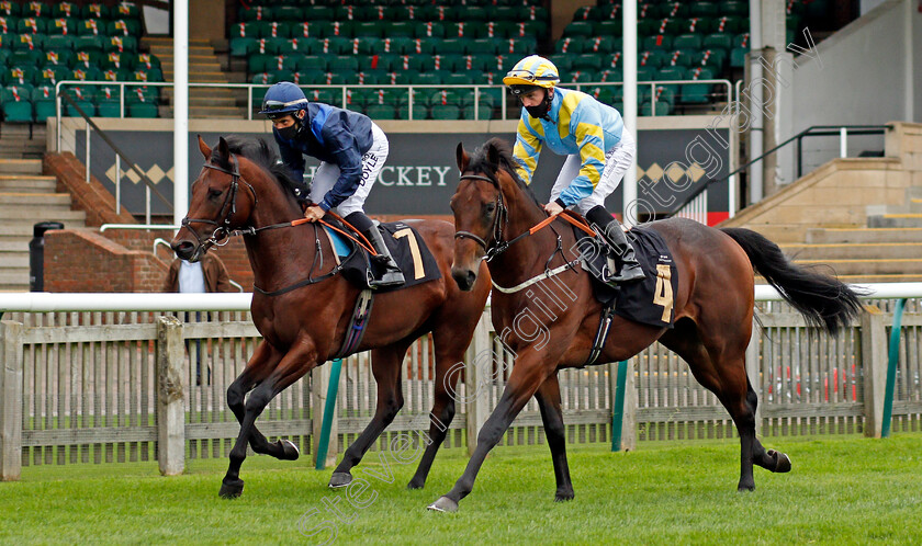 Limited-Edition-and-Bodroy-0001 
 LIMITED EDITION (left, Sean Levey) with BODROY (right, Ray Dawson)
Newmarket 30 Oct 2020 - Pic Steven Cargill / Racingfotos.com