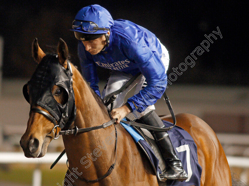 Never-Alone-0002 
 NEVER ALONE (Luke Morris) winner of The Betway Maiden Stakes
Wolverhampton 13 Jan 2020 - Pic Steven Cargill / Racingfotos.com