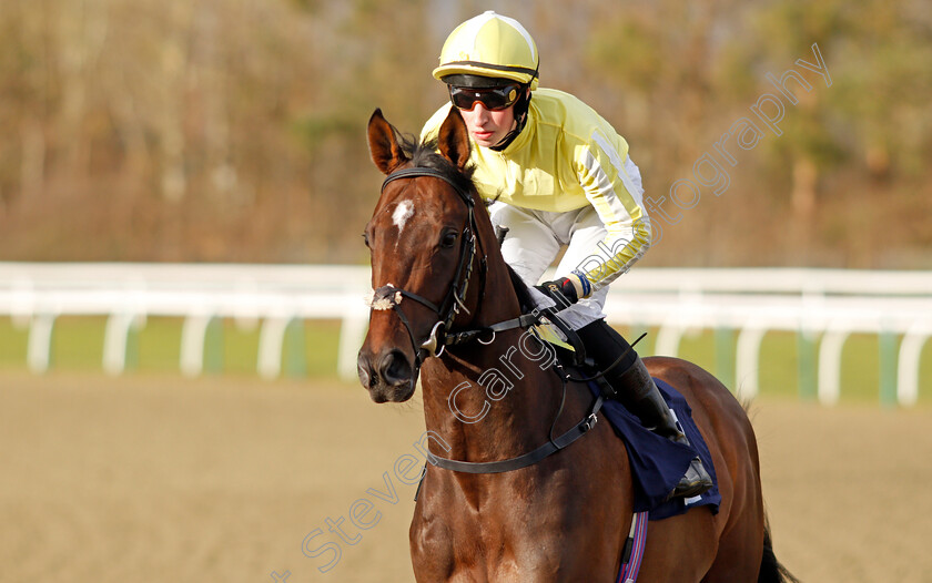 Base-Note-0001 
 BASE NOTE (Ross Coakley) winner of The Play Coral Racing Super Series For Free Handicap
Lingfield 5 Feb 2022 - Pic Steven Cargill / Racingfotos.com