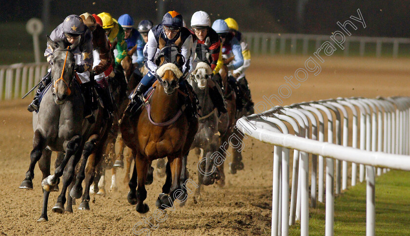 Viking-Prince-and-Chinese-Alphabet-0001 
 A circuit to go at Wolverhampton, CHINESE ALPHABET (right, Alistair Rawlinson) with VIKING PRINCE (left, Graham Lee)
Wolverhampton 26 Nov 2019 - Pic Steven Cargill / Racingfotos.com