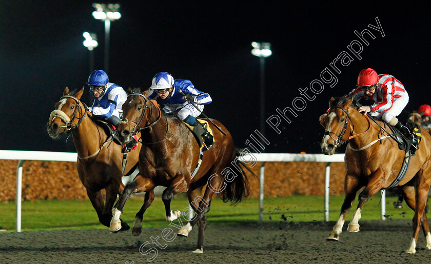 Melody-Of-Life-0003 
 MELODY OF LIFE (centre, David Probert) beats VIVENCY (left) and LOYAL HAVANA (right) in The Unibet Casino Deposit £10 Get £40 Bonus Novice Stakes Div2
Kempton 13 Jan 2021 - Pic Steven Cargill / Racingfotos.com