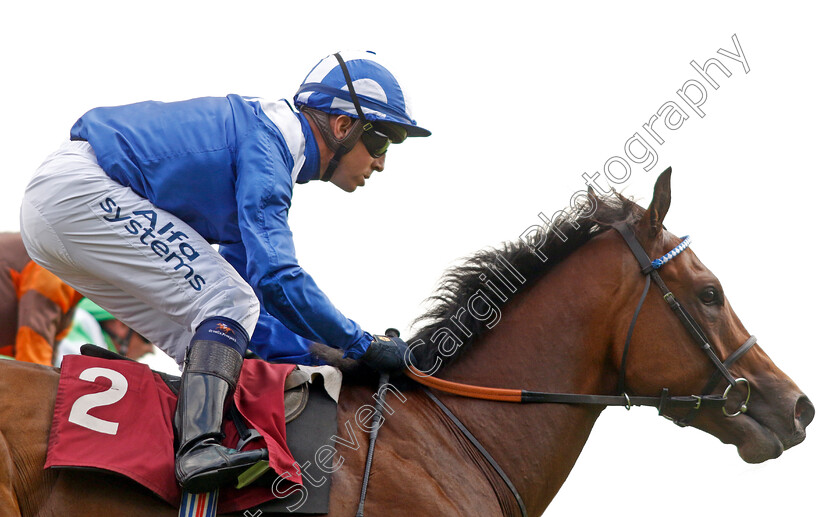 Khanjar-0001 
 KHANJAR (Jim Crowley) wins The The Tin Man Handicap
Haydock 2 Sep 2022 - Pic Steven Cargill / Racingfotos.com