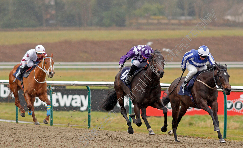 Vice-Marshal-0001 
 VICE MARSHAL (centre, Stevie Donohoe) beats FELISA (right) in The Play For Free At sunbets.co.uk/vegas Handicap Lingfield 3 Feb 2018 - Pic Steven Cargill / Racingfotos.com