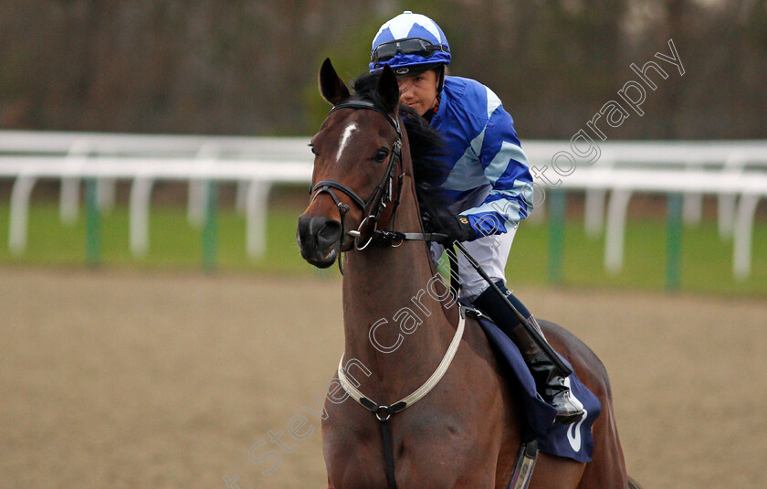 Reiffa-0001 
 REIFFA (Georgia Cox) Lingfield 2 Feb 2018 - Pic Steven Cargill / Racingfotos.com