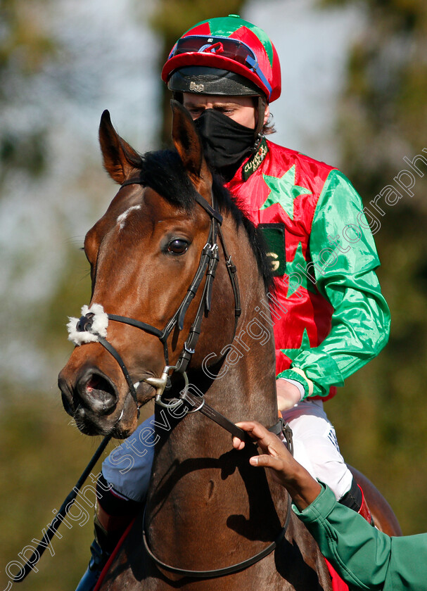 Diligent-Harry-0001 
 DILIGENT HARRY (Adam Kirby) winner of The Ladbrokes 3 Year Old All-Weather Championships Conditions Stakes
Lingfield 2 Apr 2021 - Pic Steven Cargill / Racingfotos.com