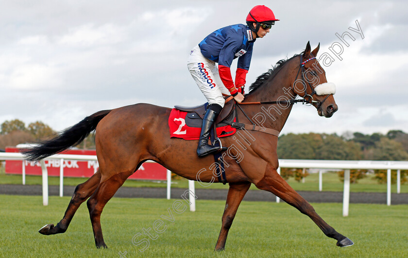 Old-Guard-0001 
 OLD GUARD (Harry Cobden) winner of The Matchbook VIP Hurdle Kempton 22 Oct 2017 - Pic Steven Cargill / Racingfotos.com