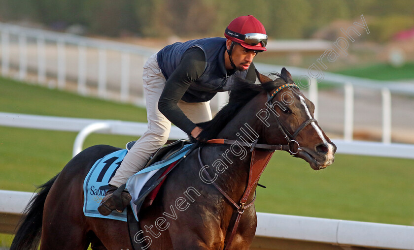 Sir-Roque-0002 
 SIR ROQUE training for The International Handicap
King Abdulaziz Racecourse, Kingdom of Saudi Arabia, 22 Feb 2023 - Pic Steven Cargill / Racingfotos.com