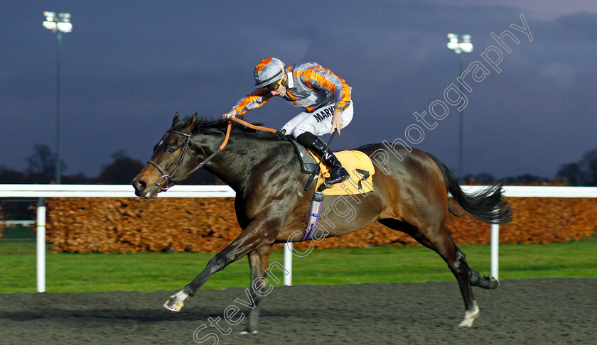 Venture-0001 
 VENTURE (Tom Marquand) wins The Bet At racingtv.com Novice Stakes
Kempton 27 Nov 2019 - Pic Steven Cargill / Racingfotos.com