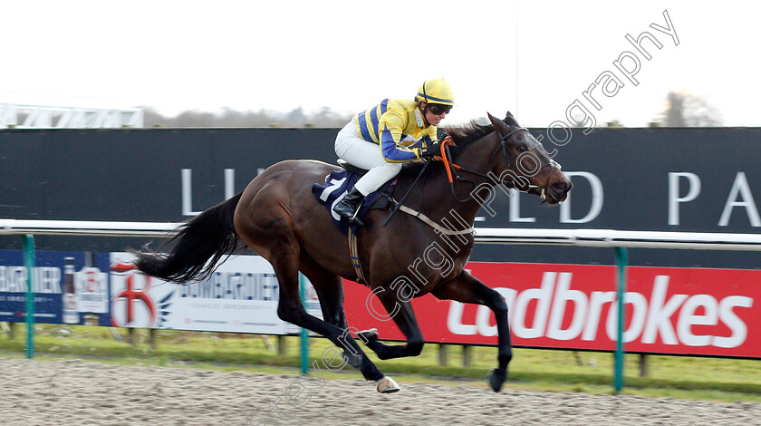 Noble-Peace-0001 
 NOBLE PEACE (Morgan Cole) wins The Bombardier March To Your Own Drum Hands And Heels Apprentice Handicap
Lingfield 11 Dec 2019 - Pic Steven Cargill / Racingfotos.com