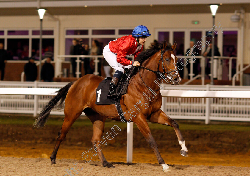 Red-Cymbal-0001 
 RED CYMBAL (Georgia Cox) Chelmsford 7 Dec 2017 - Pic Steven Cargill / Racingfotos.com