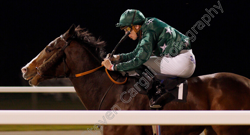 Affluence-0003 
 AFFLUENCE (Hector Crouch) wins The Christmas Party Nights Handicap
Chelmsford 19 Nov 2019 - Pic Steven Cargill / Racingfotos.com