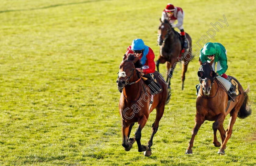 Bay-Bridge-0006 
 BAY BRIDGE (left, Ryan Moore) beats MAJESTIC DAWN (right) in The 888sport James Seymour Stakes
Newmarket 30 Oct 2021 - Pic Steven Cargill / Racingfotos.com