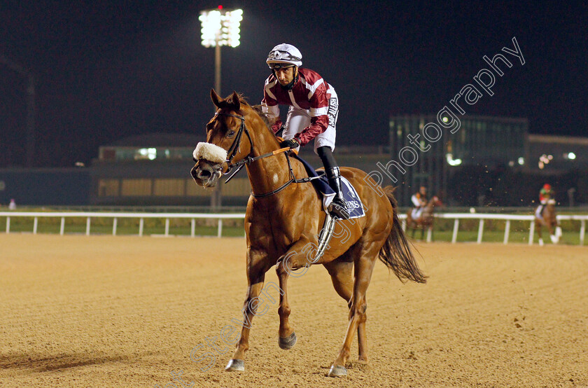 Eastern-World-0002 
 EASTERN WORLD (Saif Al Balushi)
Meydan 4 Feb 2022 - Pic Steven Cargill / Racingfotos.com