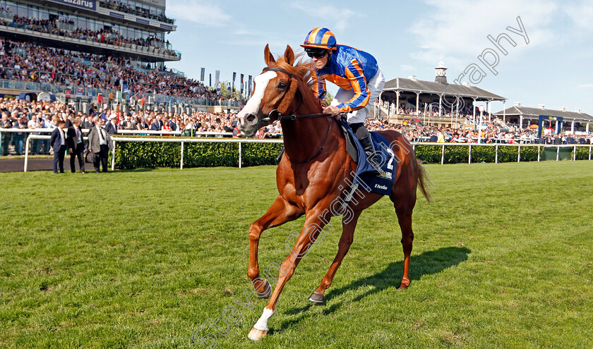 Il-Paradiso-0003 
 IL PARADISO (Padraig Beggy)
Doncaster 14 Sep 2019 - Pic Steven Cargill / Racingfotos.com