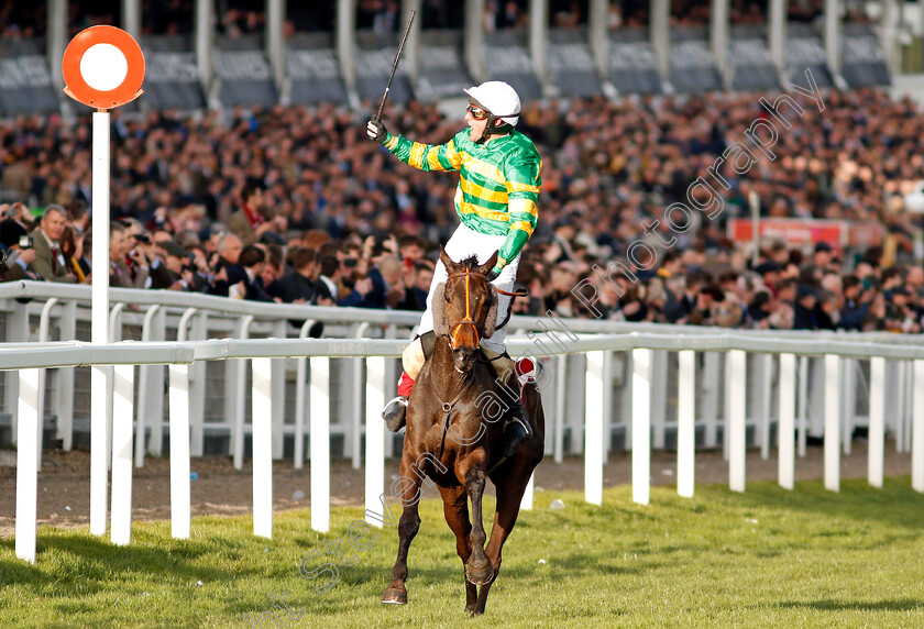 Easysland-0005 
 EASYSLAND (Jonathan Plouganou) wins The Glenfarclas Cross Country Chase
Cheltenham 11 Mar 2020 - Steven Cargill / Racingfotos.com