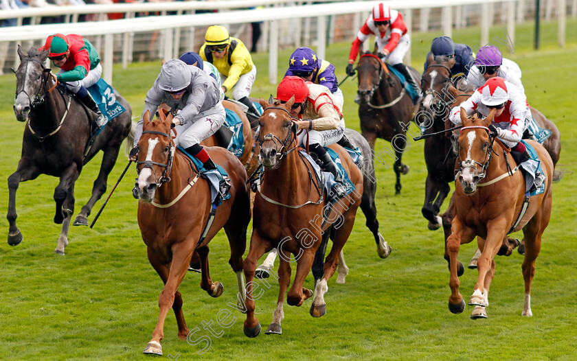 Thunder-Run-0002 
 THUNDER RUN (left, David Egan) beats MIRSKY (centre) in The Clipper Handicap
York 22 Aug 2024 - Pic Steven Cargill / Racingfotos.com