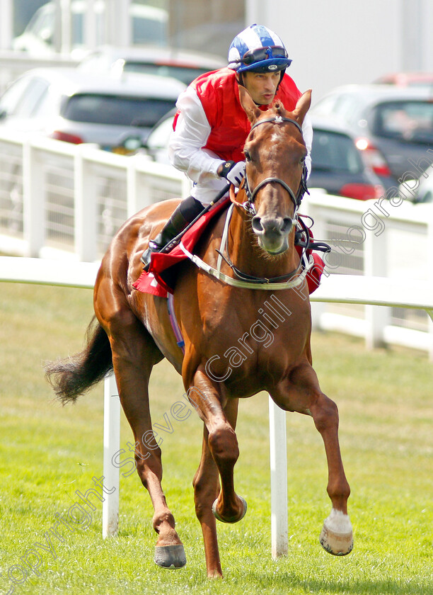 Fraser-Island-0001 
 FRASER ISLAND (Silvestre de Sousa)
Sandown 25 Jul 2019 - Pic Steven Cargill / Racingfotos.com