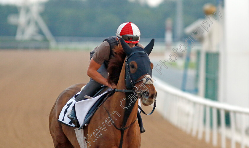 Ladies-Church-0001 
 LADIES CHURCH training at the Dubai Racing Carnival 
Meydan 4 Jan 2024 - Pic Steven Cargill / Racingfotos.com