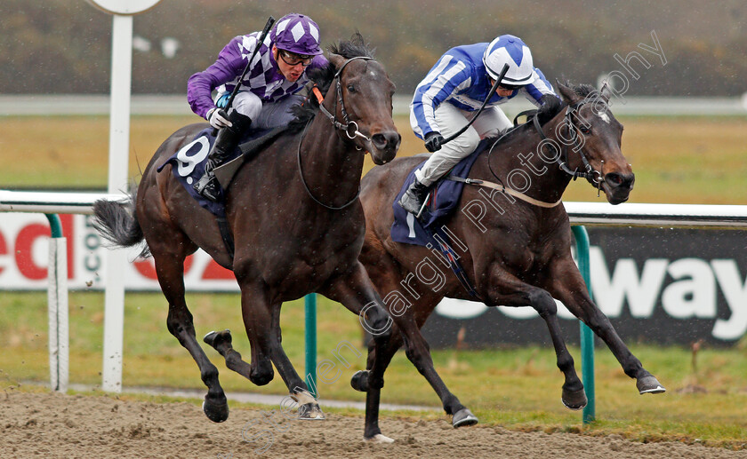 Vice-Marshal-0003 
 VICE MARSHAL (left, Stevie Donohoe) beats FELISA (right) in The Play For Free At sunbets.co.uk/vegas Handicap Lingfield 3 Feb 2018 - Pic Steven Cargill / Racingfotos.com