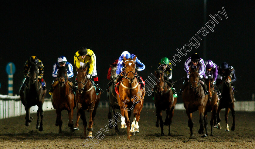 Flaming-Spear-0002 
 FLAMING SPEAR (centre, Robert Winston) wins The British Stallion Studs EBF Hyde Stakes
Kempton 21 Nov 2018 - Pic Steven Cargill / Racingfotos.com