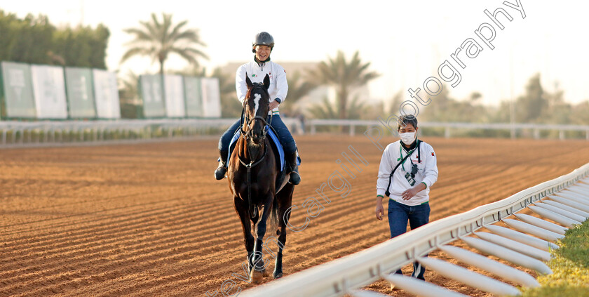 Songline-0001 
 SONGLINE training for the 1351 Turf Sprint
King Abdulaziz Racecourse, Kingdom Of Saudi Arabia, 23 Feb 2023 - Pic Steven Cargill / Racingfotos.com