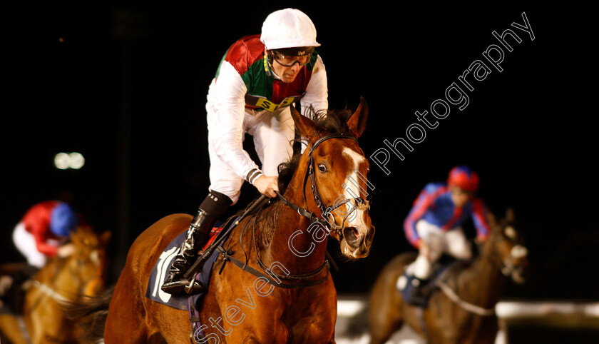 She s-Got-You-0009 
 SHE'S GOT YOU (Robert Havlin) wins The Ladbrokes Home Of The Odds Boost Fillies Novice Stakes Div1
Wolverhampton 10 Dec 2018 - Pic Steven Cargill / Racingfotos.com