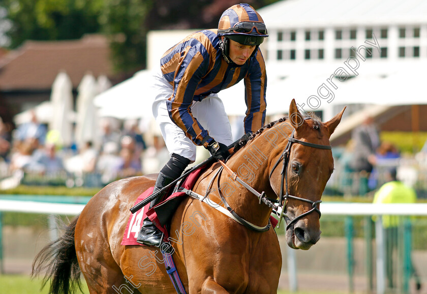 Zimmerman-0001 
 ZIMMERMAN (Duran Fentiman)
Haydock 25 May 2024 - Pic Steven cargill / Racingfotos.com