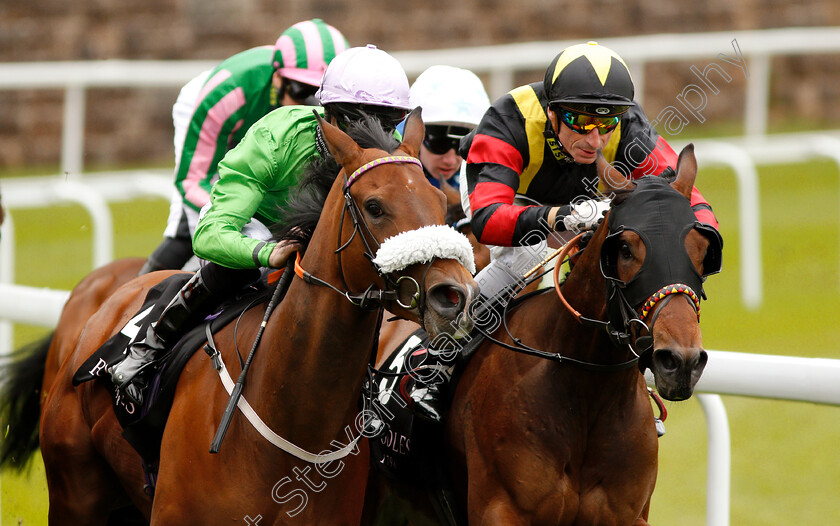 Formidable-Kitt-and-Global-Academy-0001 
 FORMIDABLE KITT (left, Richard Kingscote) and GLOBAL ACADEMY (right)
Chester 9 May 2018 - Pic Steven Cargill / Racingfotos.com