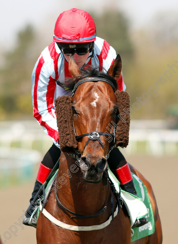 Giogiobbo-0001 
 GIOGIOBBO (Dylan Hogan)
Lingfield 19 Apr 2019 - Pic Steven Cargill / Racingfotos.com