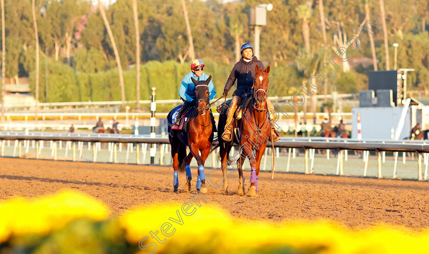 Fanny-Logan-0006 
 FANNY LOGAN (Frankie Dettori) training for the Breeders' Cup Filly & Mare Turf
Santa Anita USA 30 Oct 2019 - Pic Steven Cargill / Racingfotos.com