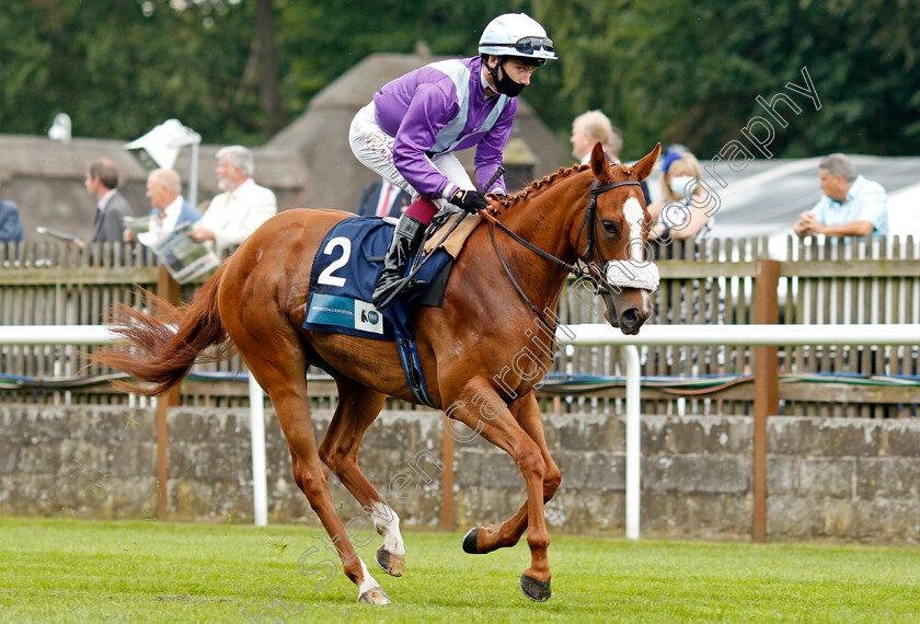 Frankella-0001 
 FRANKELLA (Oisin Murphy) winner of The British Stallion Studs EBF Maiden Fillies Stakes
Newmarket 8 Jul 2021 - Pic Steven Cargill / Racingfotos.com