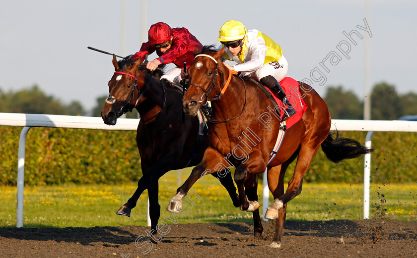 Noisy-Night-0005 
 NOISY NIGHT (right, Richard Kingscote) beats BLUEBERRY HILL (left) in The Unibet British Stallion Studs EBF Novice Stakes
Kempton 4 Aug 2021 - Pic Steven Cargill / Racingfotos.com