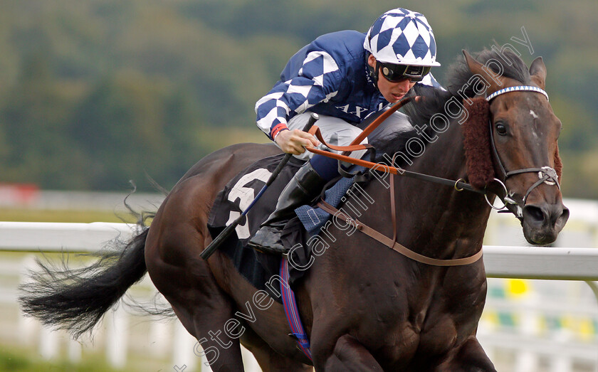 Blakeney-Point-0005 
 BLAKENEY POINT (Kieran Shoemark) wins The Dubai Duty Free Handicap Newbury 22 Sep 2017 - Pic Steven Cargill / Racingfotos.com